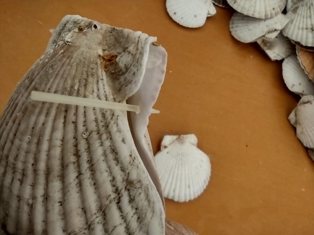 画像に alt 属性が指定されていません。ファイル名: 468568018_122138388644364957_227461393516001911_n-1024x768.jpg